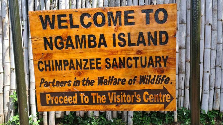 Ngamba Island Uncovered