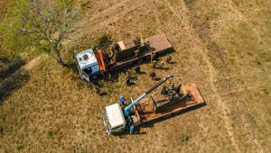 Rhinos arrive Ajai Wildlife Reserve