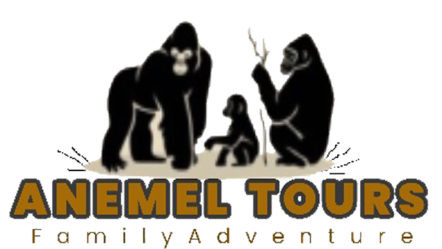 Anemel-logo-2