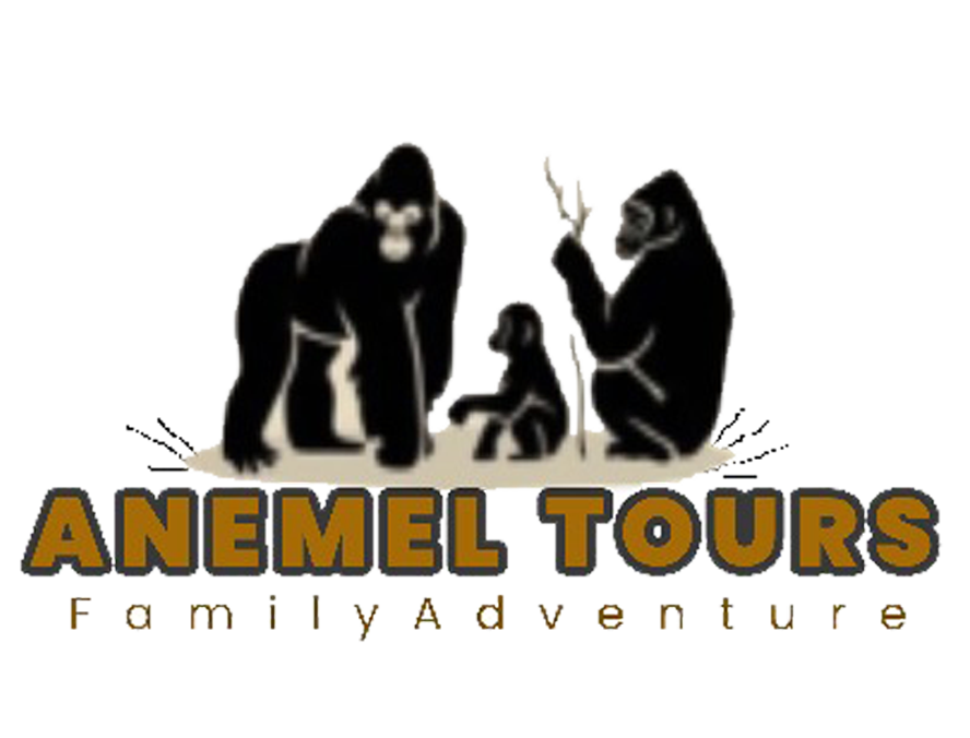 Anemel-logo-2