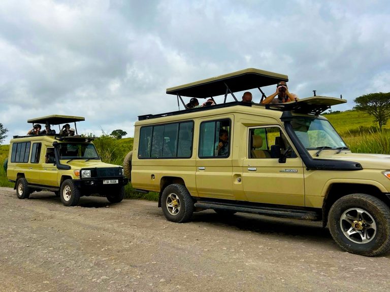 best-4×4-cars-for-family-road-trips-in-uganda-768×576-1