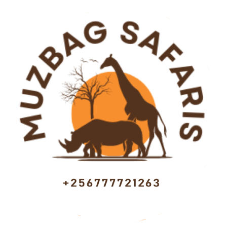 mazbag 2