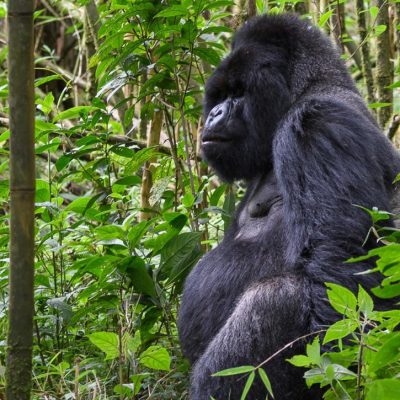 PHOTO-2025-07-04-14-05-11