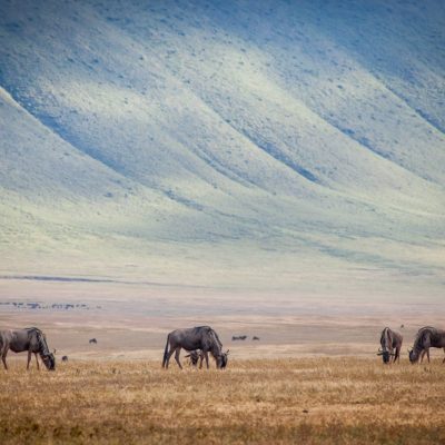 ngorongoro crater